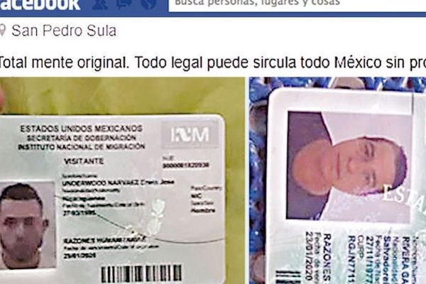 Visas_falsas