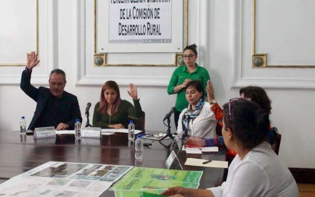 Se hará una inversión histórica de mil millones de pesos para la conservación y recuperación de estos ecosistemas. Foto: Especial