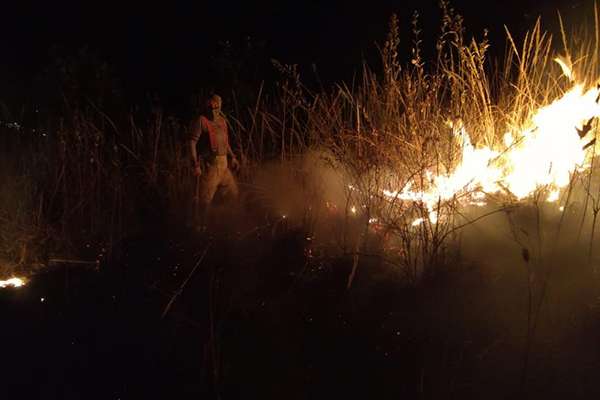 El gobierno municipal hizo un llamado a la población a no realizar quemas de parcela cerca de los bosques. FOTO: ESPECIAL