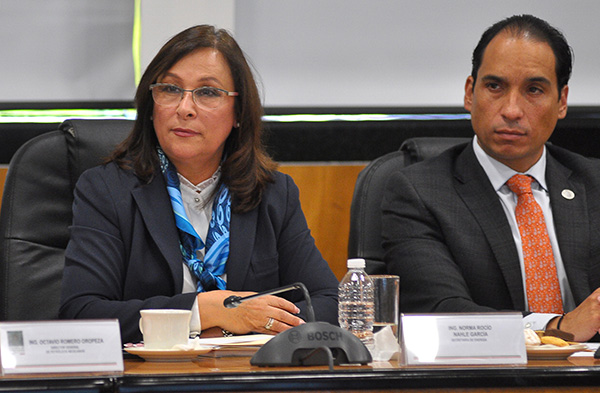 La secretaria de Energía, Rocío Nahle García. FOTO: NOTIMEX