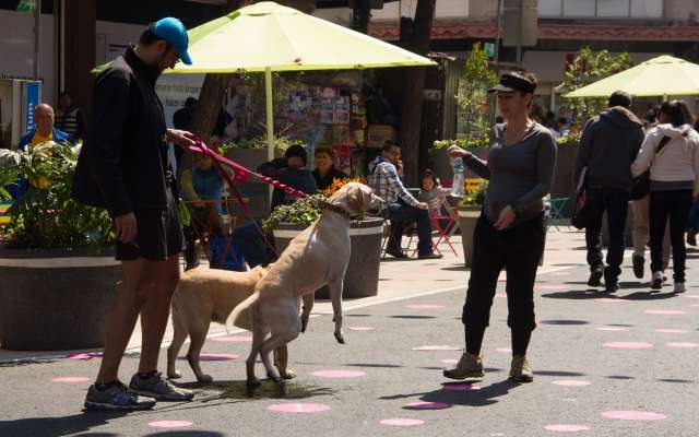 El paso peatonal irá de Venustiano Carranza al Zócalo capitalino. Foto: Cuartoscuro