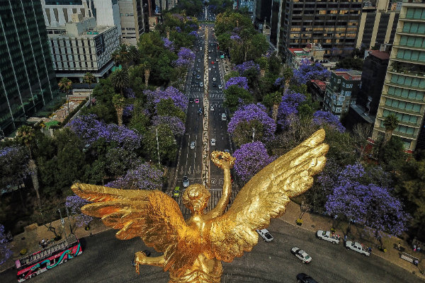 Los hoteles han dejado 6.6 por ciento más recaudación por el impuesto al hospedaje, un total de 63.7 millones de pesos entre enero y febrero de 2019