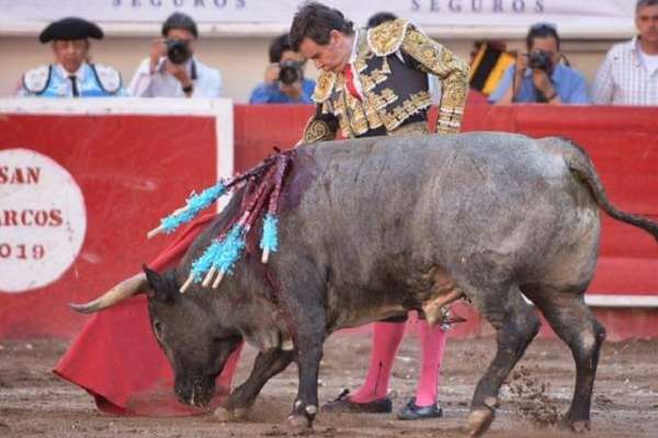DETALLES. Capetillo no tuvo opciones para lograr un triunfo. Foto: Especial