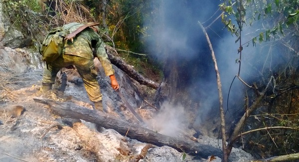 Hasta el momento se desconoce el número de personas afectadas por la cantidad de incendios en la entidad. Foto: Especial