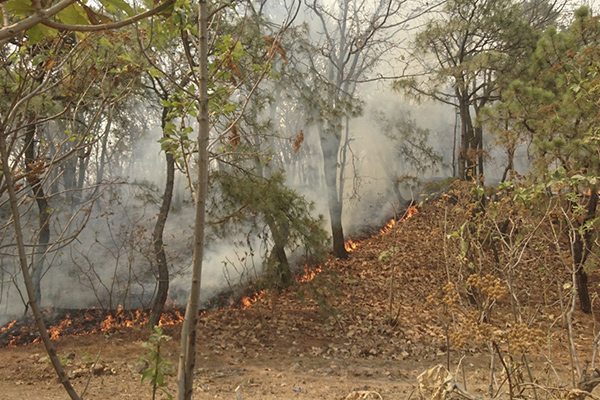 El fuego se combate con ayuda de 7 helicópteros. FOTO: CUARTOSCURO