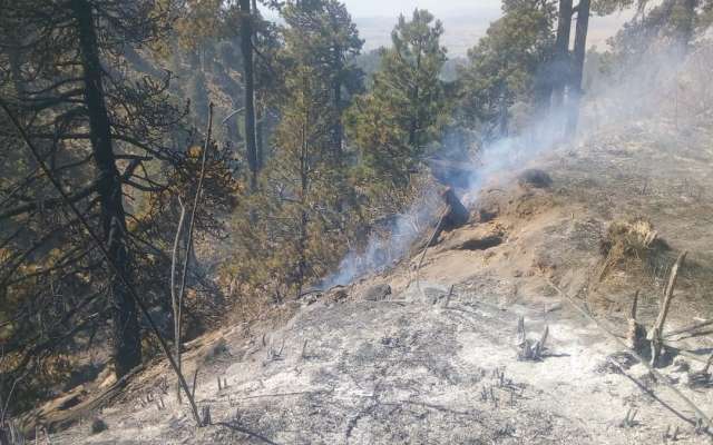 En las últimas horas lograron liquidar el incendio en Huauchinango, en la localidad La Puga-La Mesita, con una afectación en cuatro hectáreas de matorral y pastizal