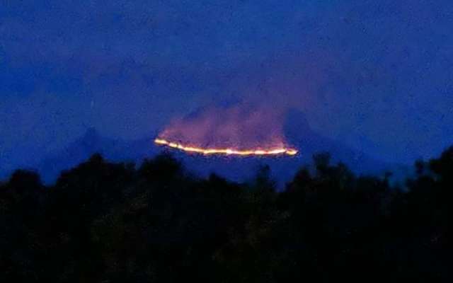 Los trabajos para extinguir el fuego son llevados a cabo por personal del ejército, la Conafor y la CGE