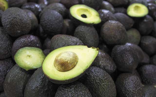 La incertudumbre elevó 35%
el precio del fruto en el mercado de exportación. FOTO:CUARTOSCURO
