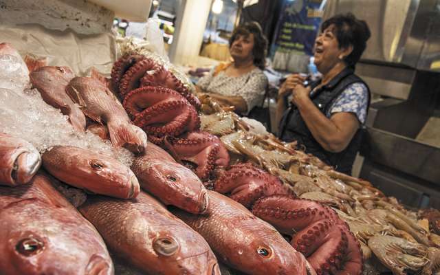 ESPECIES. Las más solicitadas son mero, cabrilla, pargo, tilapia y bagre. Foto: Cuartoscuro