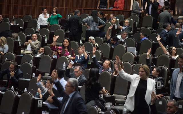 Es un ingrediente propio del llamado presidencialismo aseguró la diputada Fabiola Loya. Foto: Especial