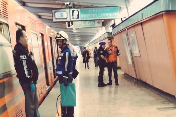 El hecho provocó el retraso de los trenes durante 27 minutos. Foto: @ElPolloCDMX