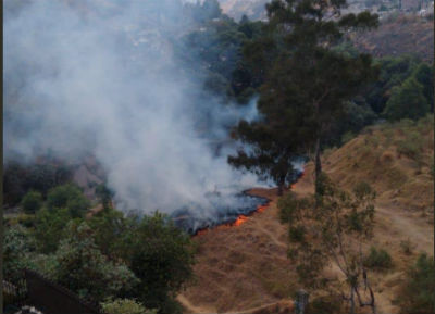 El incendio se registra al interior de la Zona Forestal de La Herradura. FOTO: @HuixquiGob