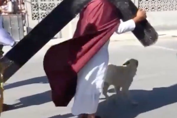 El video del momento ha sido compartido más de 2 mil veces. Foto: Especial