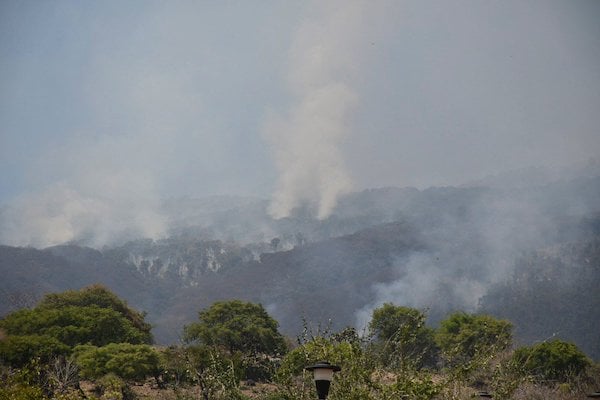 Incendio forestal en Cerro Viejo