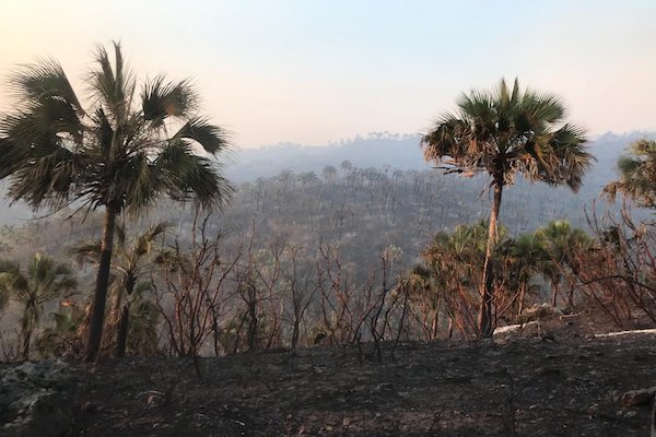 Incendio en Colima