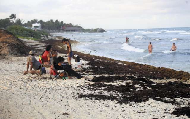 55% BAJÓ EL
TURISMO EN
CANCÚN ESTA
SEMANA. FOTO: ESPECIAL