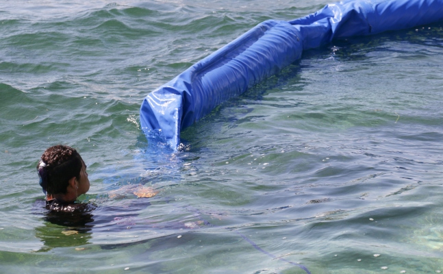 Barreras contra el sargazo en Puerto Morelos, Quintana Roo. Foto/ Cuartoscuro