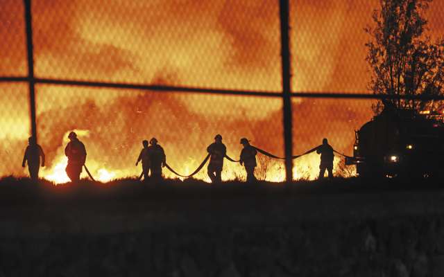 Más de 3 mil hectáreas forestales han sido afectadas por el fuego en la capital en 2019. Foto: CUARTOSCURO