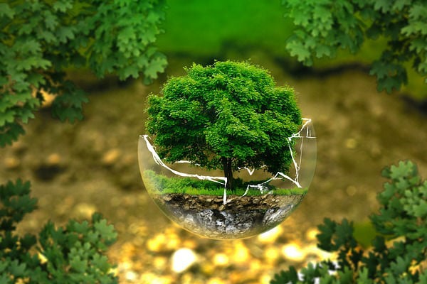 Lo que realmente sería una solución es acabar con el uso de combustibles fósiles.
Foto: Pixabay