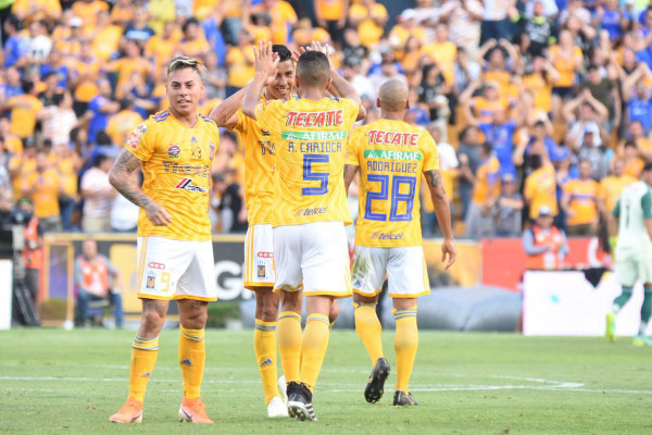 tigres