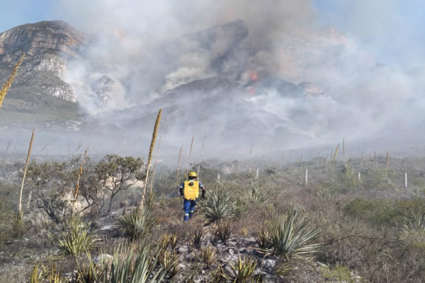 Servicios de emergencia laboran para controlar el siniestro. Foto: Protección Civil Nuevo León. Foto: Protección Civil Nuevo León.