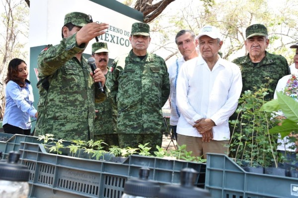 El programa “Sembrando Vida” del Gobierno de México, tiene contemplados 12 viveros forestales en el país. Foto: Especial
