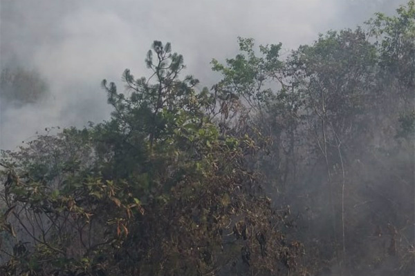 incendio-puebla