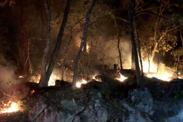 incendio forestal