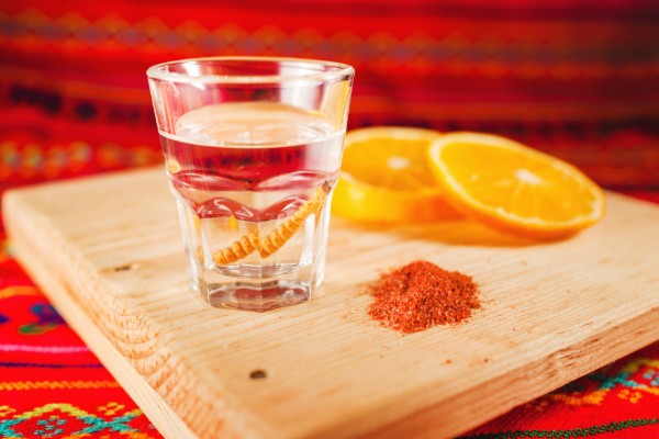 mezcal
