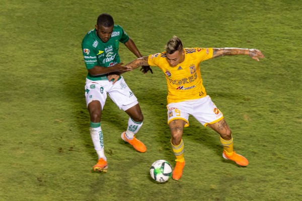 tigres_leon