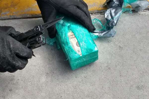 Se encontraron en total 40 paquetes con 500 billetes de 20 dólares cada uno, dando en total 400 mil dólares. FOTO: ESPECIAL