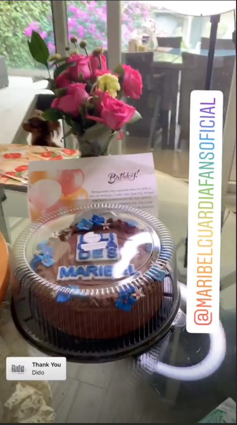 Maribel Guardia 60 años