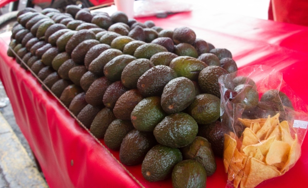 Aguacate Central de Abastos