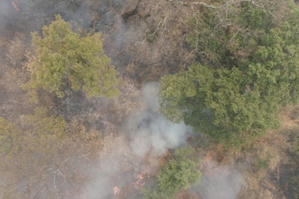 incendio forestal