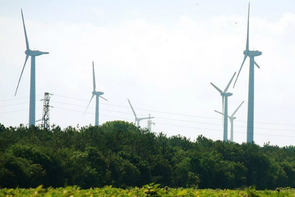 economia-verde-méxico