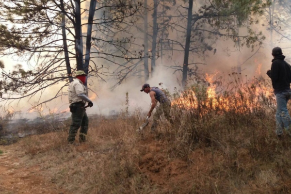 Se registran 4 incendios en Jalisco