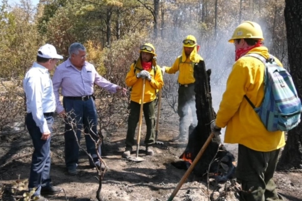 Incendios forestales en Durango