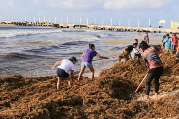 Colectivo Unidos por Quintana Roo