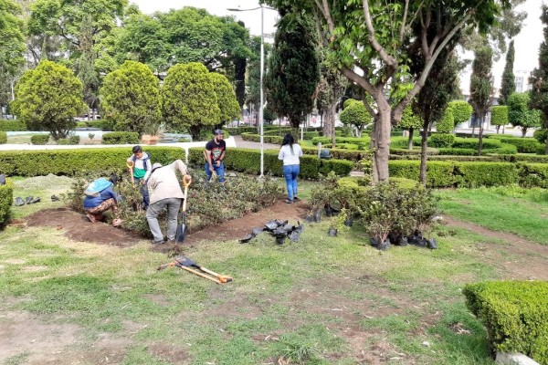 inicia reto verde reforestación cdmx