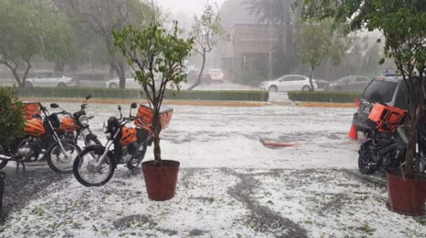 La granizada que cayó esta tarde en la Zona Metropolitana de Guadalajara dejó decenas de árboles caídos y vehículos varados. FOTO: ESPECIAL