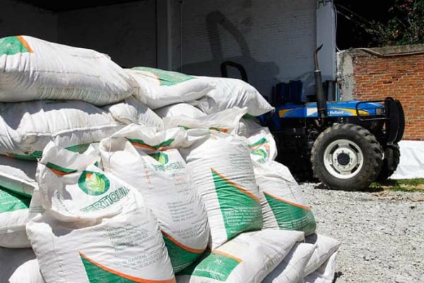En la entrega directa de este insumo para los pequeños productores registrados para maíz, frijol y arroz en Guerrero. Foto: Especial.