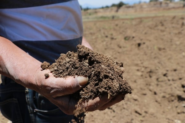 Faltan fertilizantes en Guerrero.