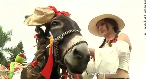festival-de-los-burros