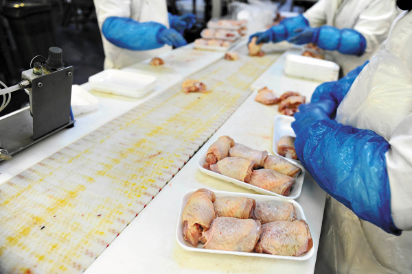 MEDIDA. El gobierno de Hong Kong suspendió la importación de carne de pollo.Foto: Especial.