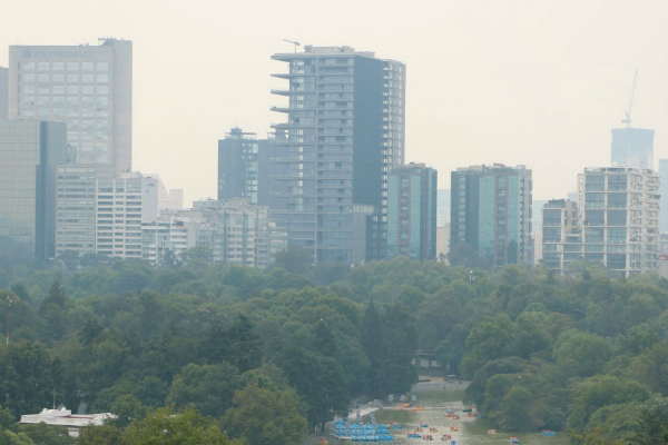 La alcaldía Gustavo A. Madero es la más contaminada. Foto: Especial.