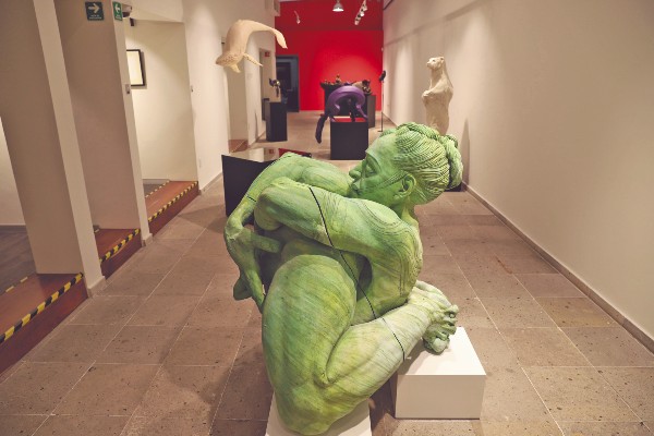 Se exhibe escultura, pintura, fotografía e ilustración. Foto: Víctor Gahbler