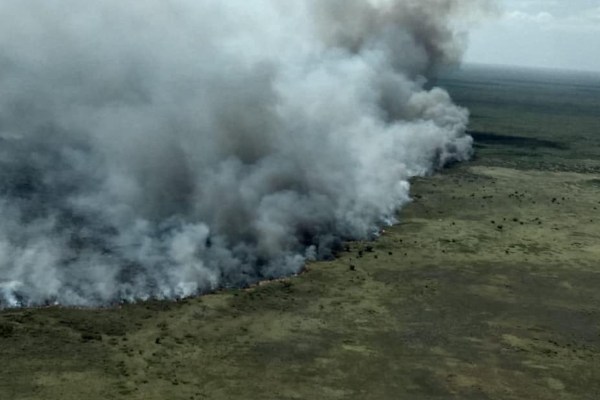 Un helicóptero de las fuerzas armadas apoyó mediante descargas de agua y traslado de combatientes. Foto: @CONANP_mx
