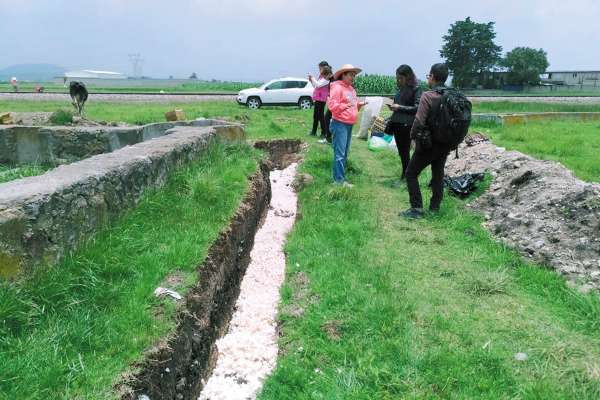 Se requiere una tonelada de cascarón de huevo por cada 15 metros de zanja. Foto: Leticia Ríos.