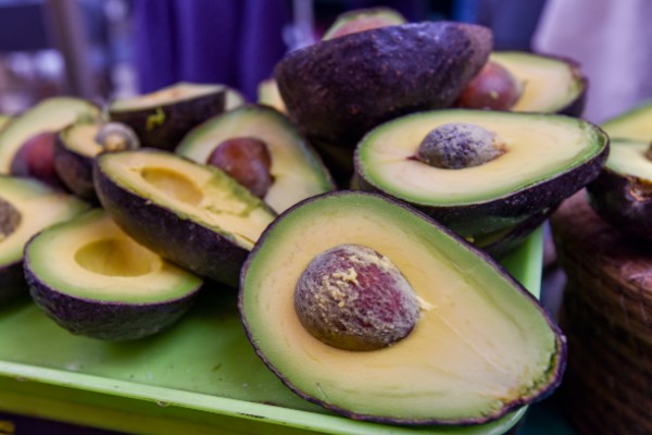 exportación de aguacate a Estados Unidos