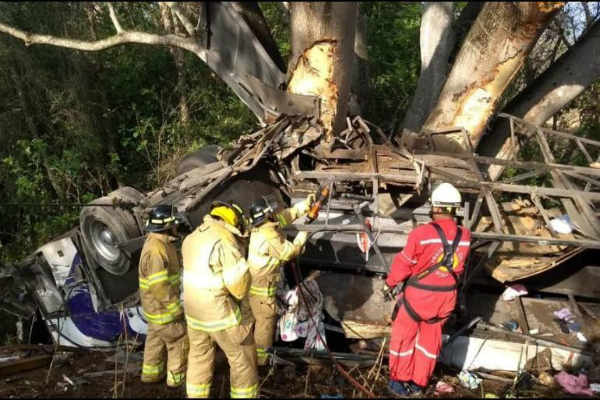 Accidente vial deja a 15 personas muertas en Nayarit. Foto: especial